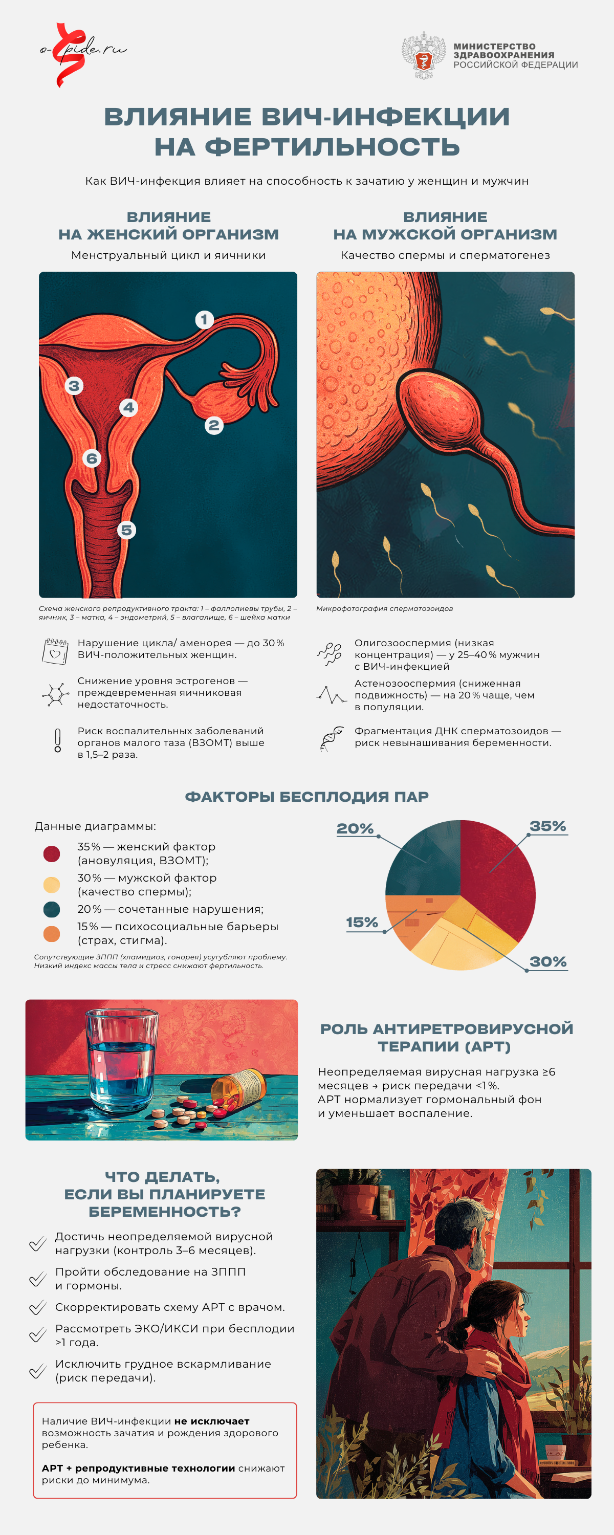 09_Инфографика_Влияние_ВИЧ‑инфекции_на_фертильность.png
